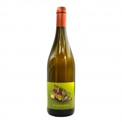 Vin-blanc-Wine-Hop-Melon-de-Bourgogne-Citra